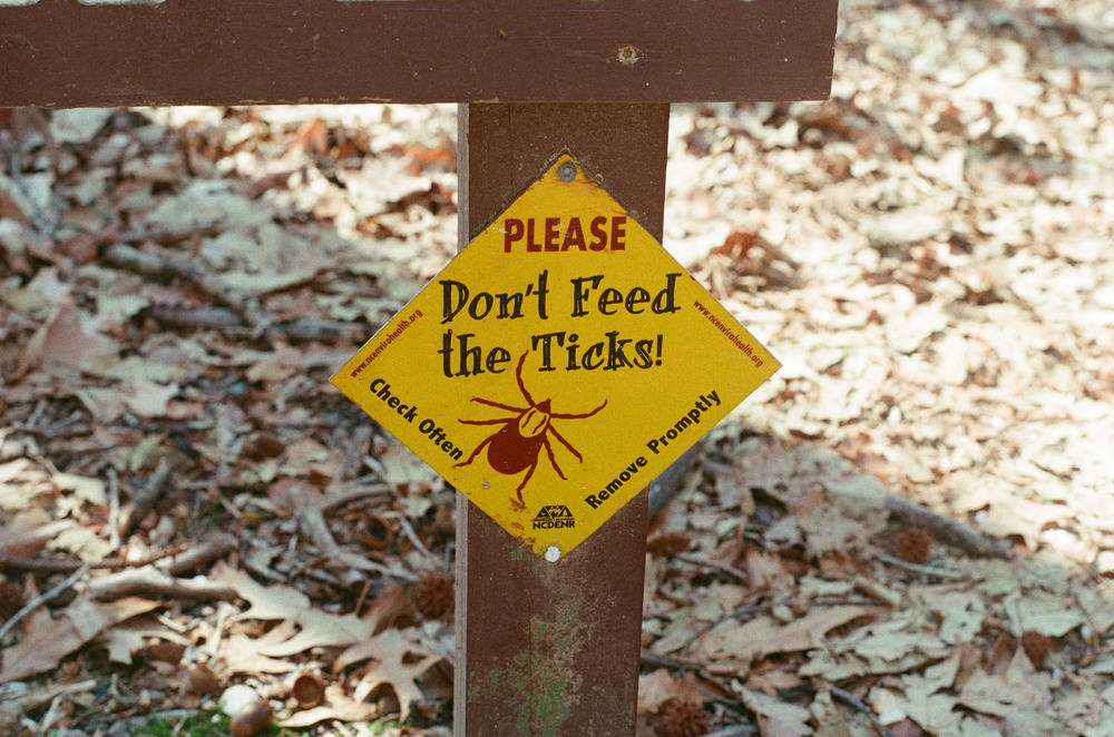 Northwest River Park